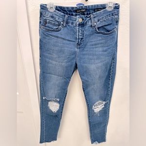 Dear John Gisele High Waisted Skinny, Size 28